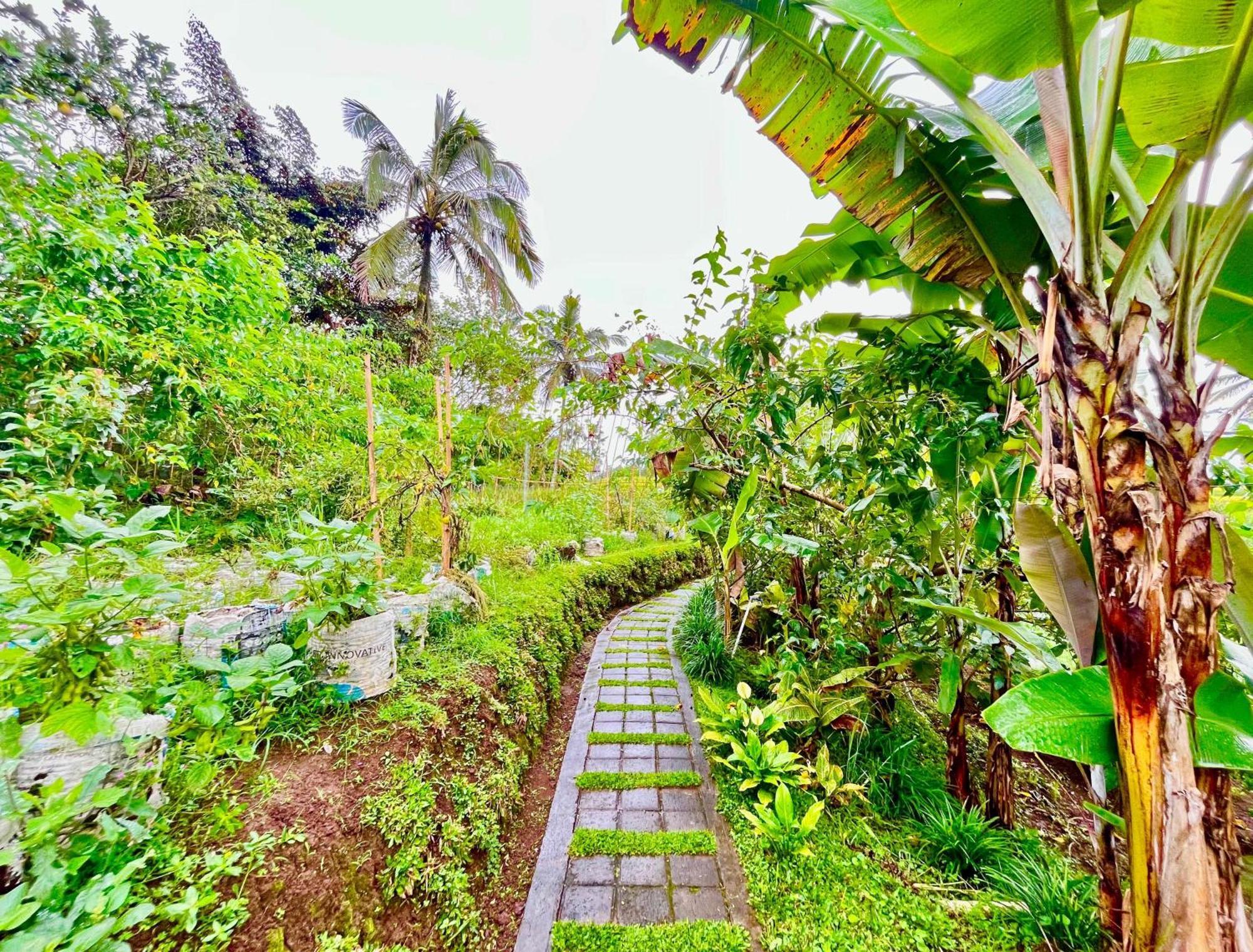Pondok Is Oke Villa Scenic View Banyuwangi  Exterior photo