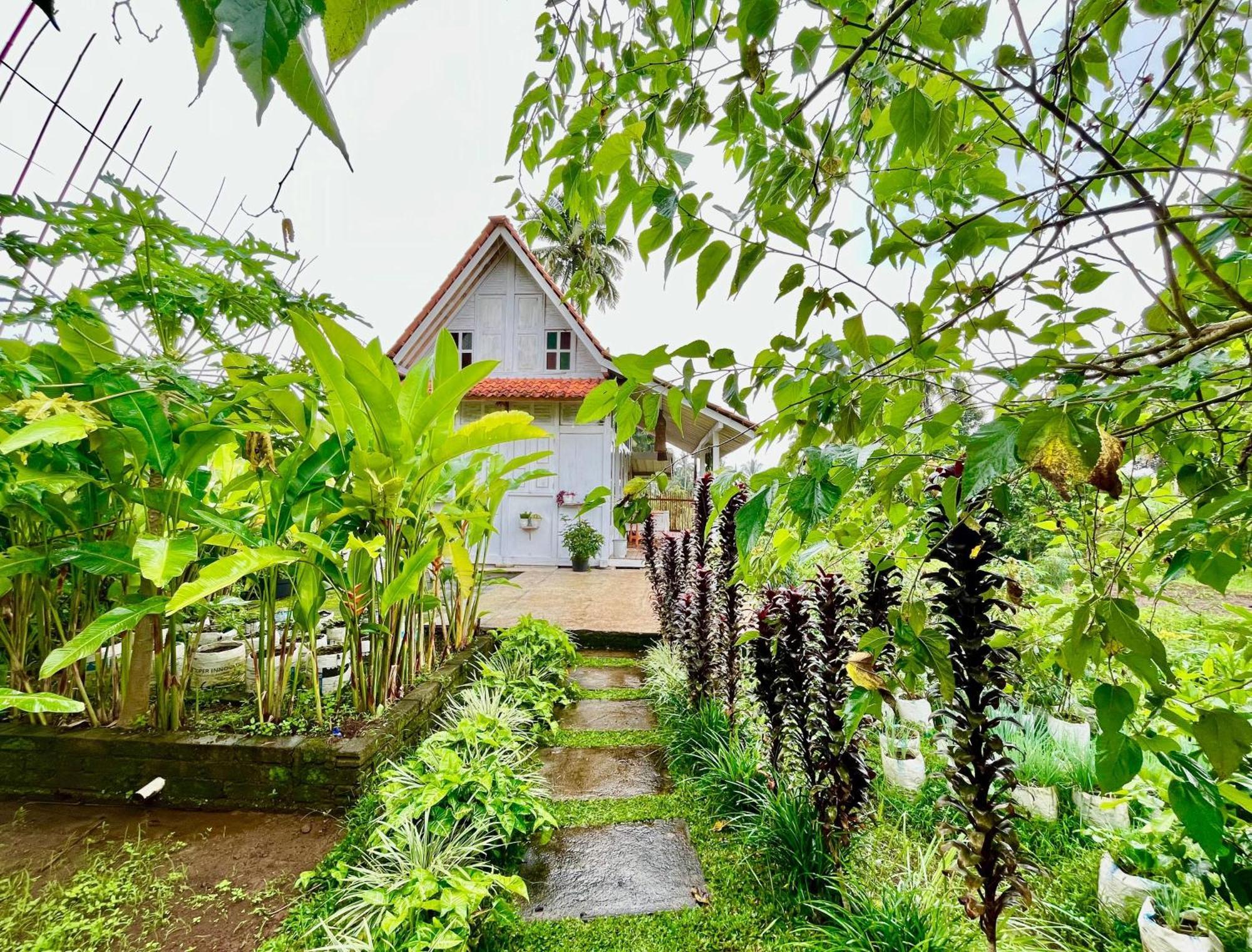 Pondok Is Oke Villa Scenic View Banyuwangi  Exterior photo