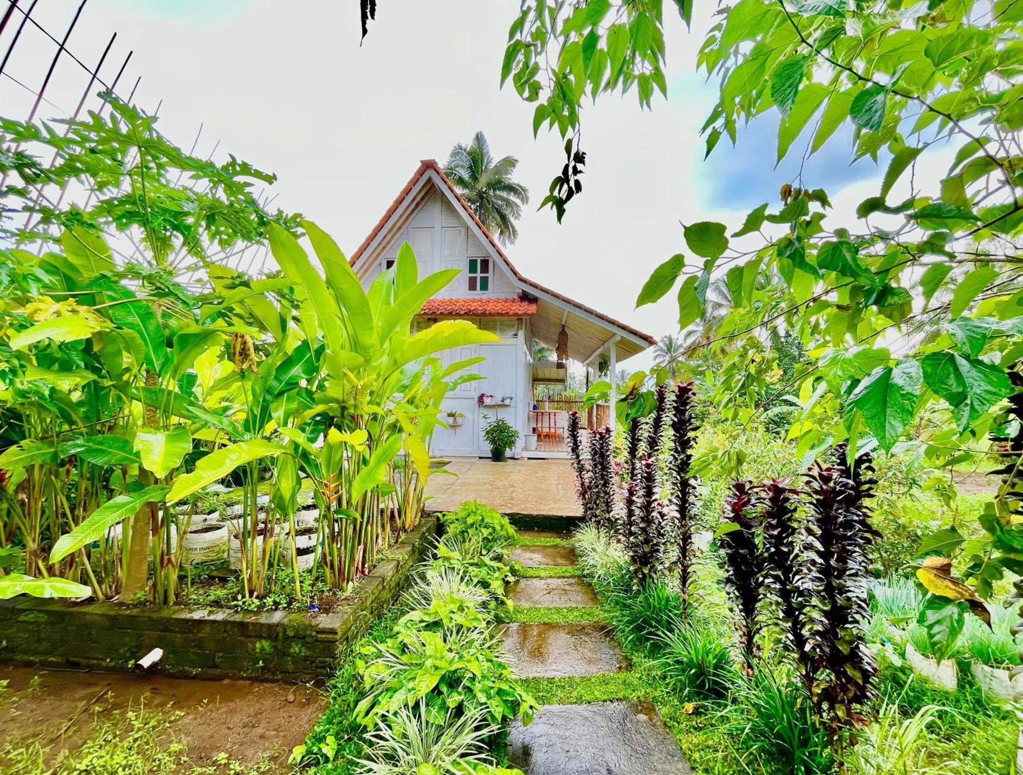 Pondok Is Oke Villa Scenic View Banyuwangi  Exterior photo