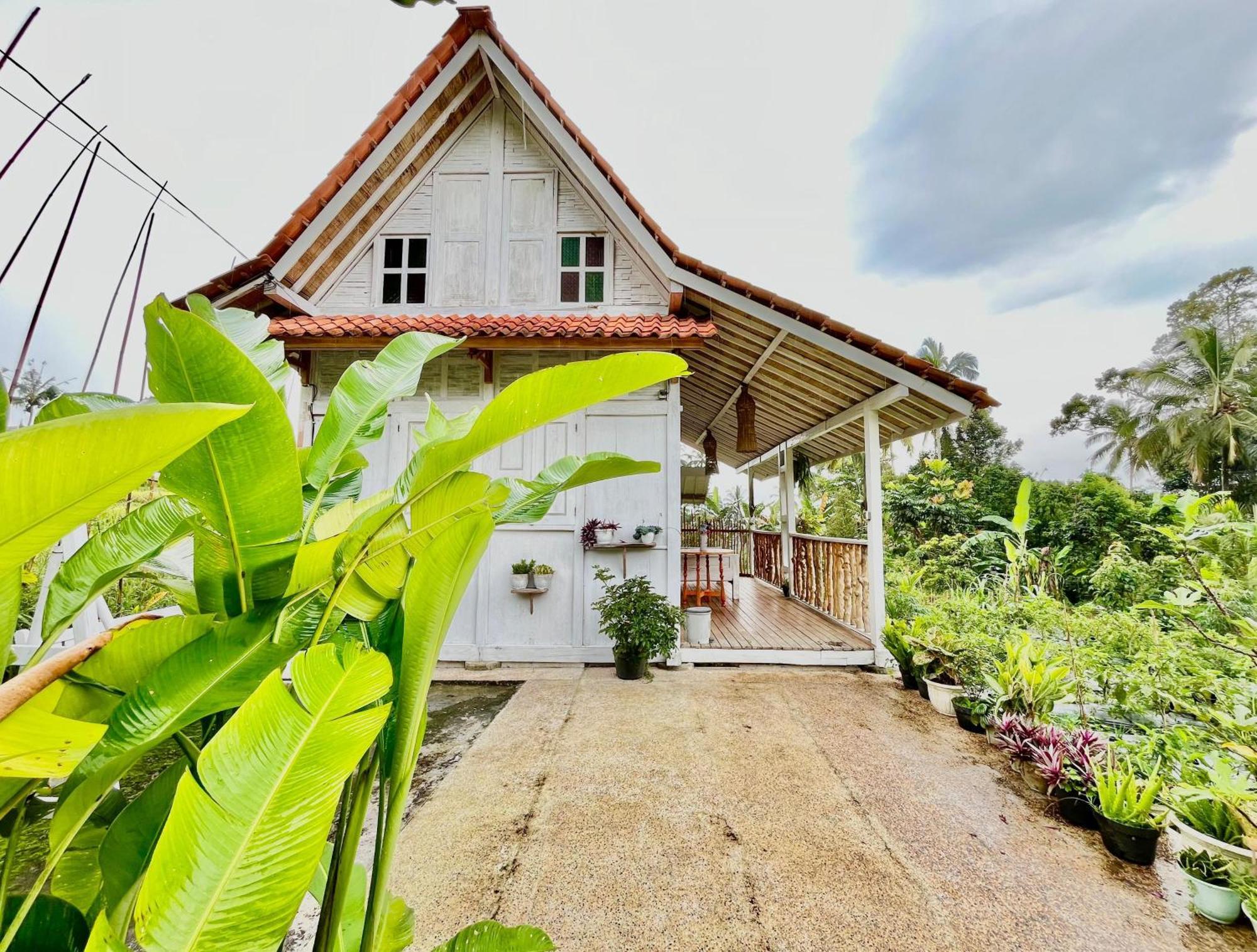 Pondok Is Oke Villa Scenic View Banyuwangi  Exterior photo
