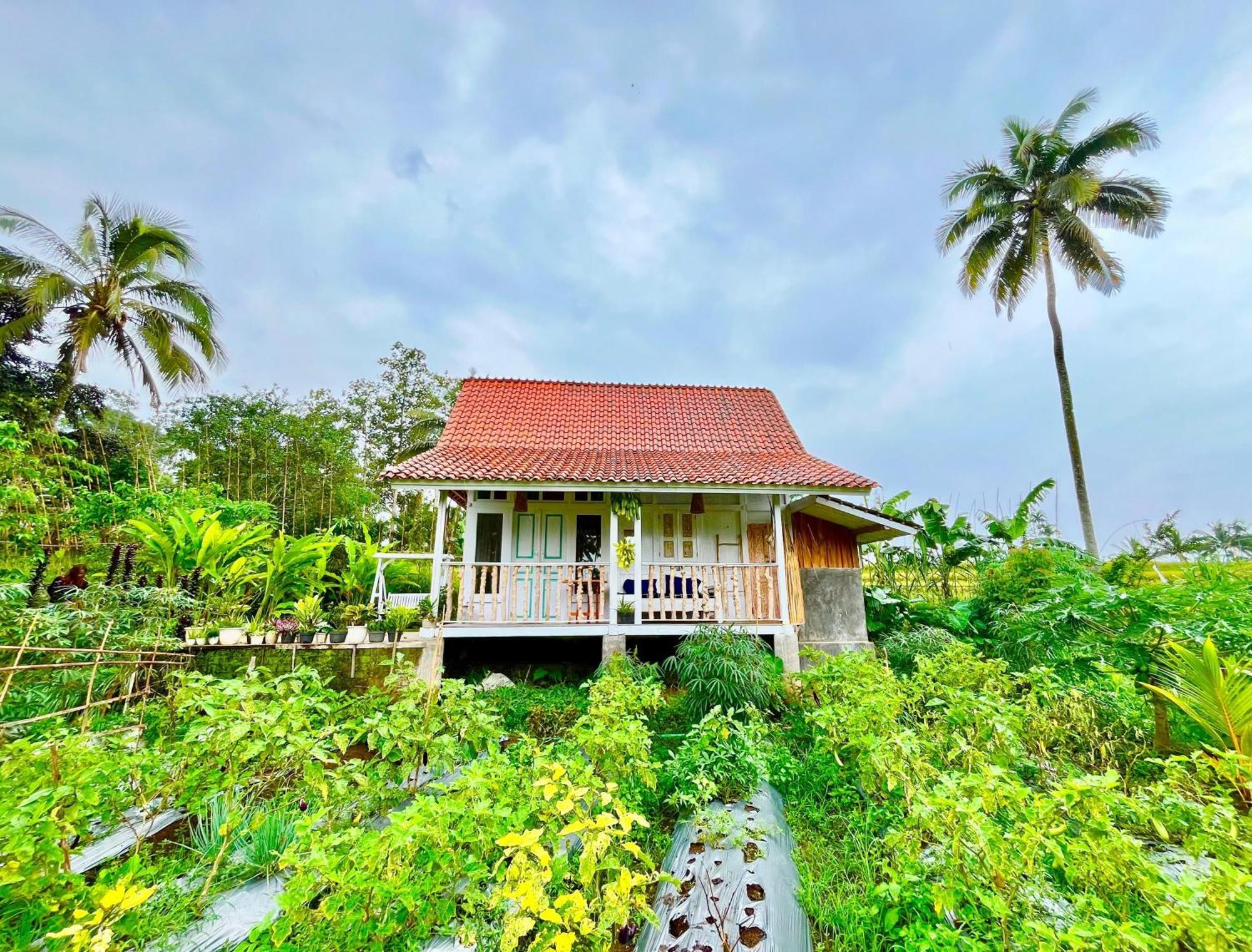 Pondok Is Oke Villa Scenic View Banyuwangi  Exterior photo