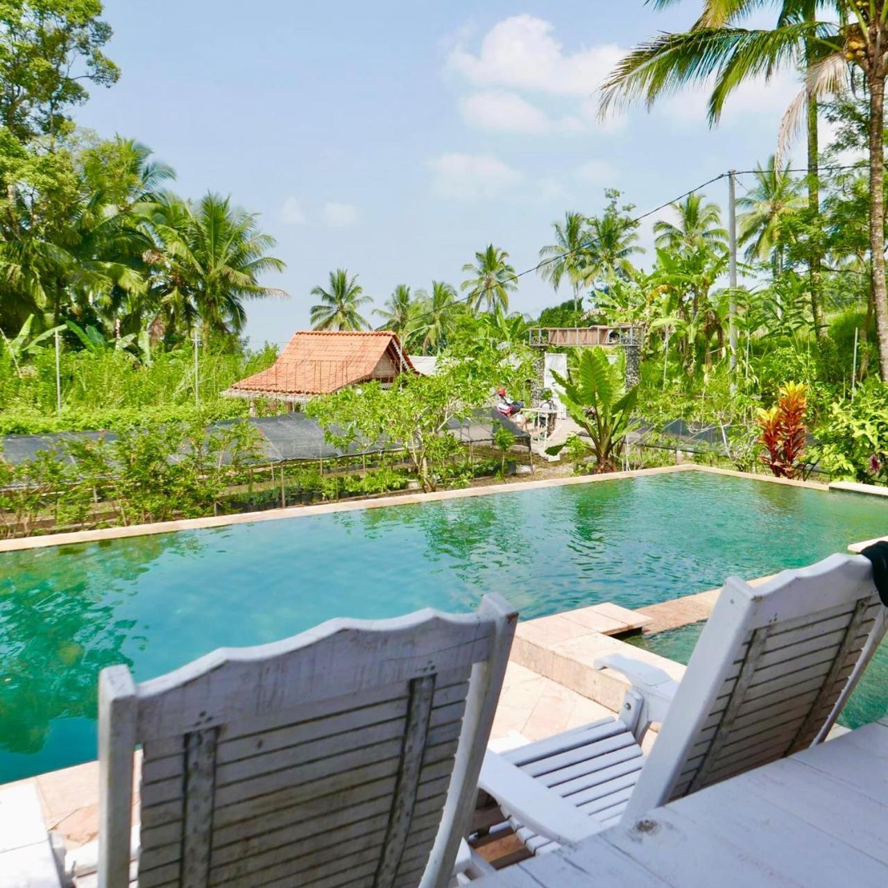 Pondok Is Oke Villa Scenic View Banyuwangi  Exterior photo