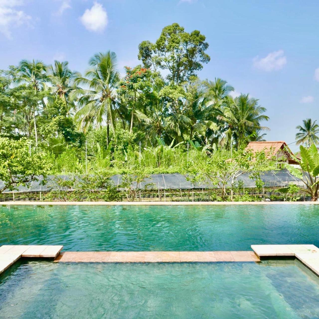 Pondok Is Oke Villa Scenic View Banyuwangi  Exterior photo