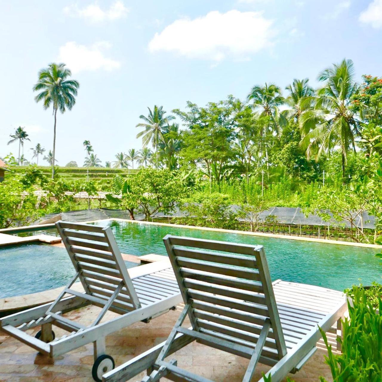 Pondok Is Oke Villa Scenic View Banyuwangi  Exterior photo