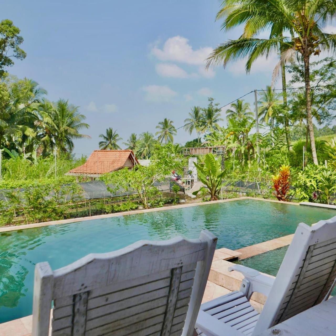 Pondok Is Oke Villa Scenic View Banyuwangi  Exterior photo