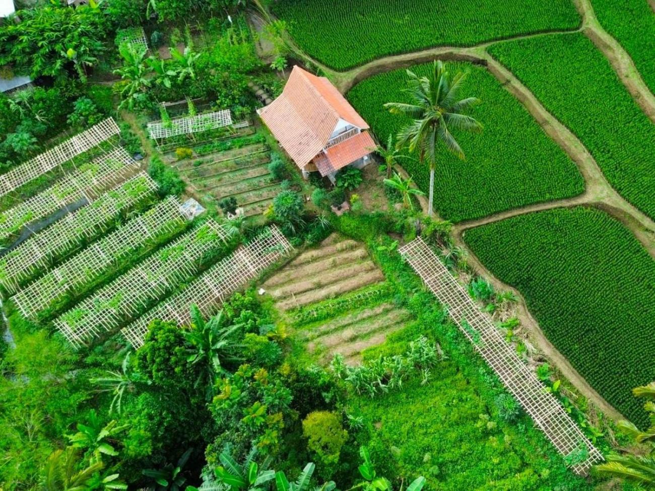 Pondok Is Oke Villa Scenic View Banyuwangi  Exterior photo