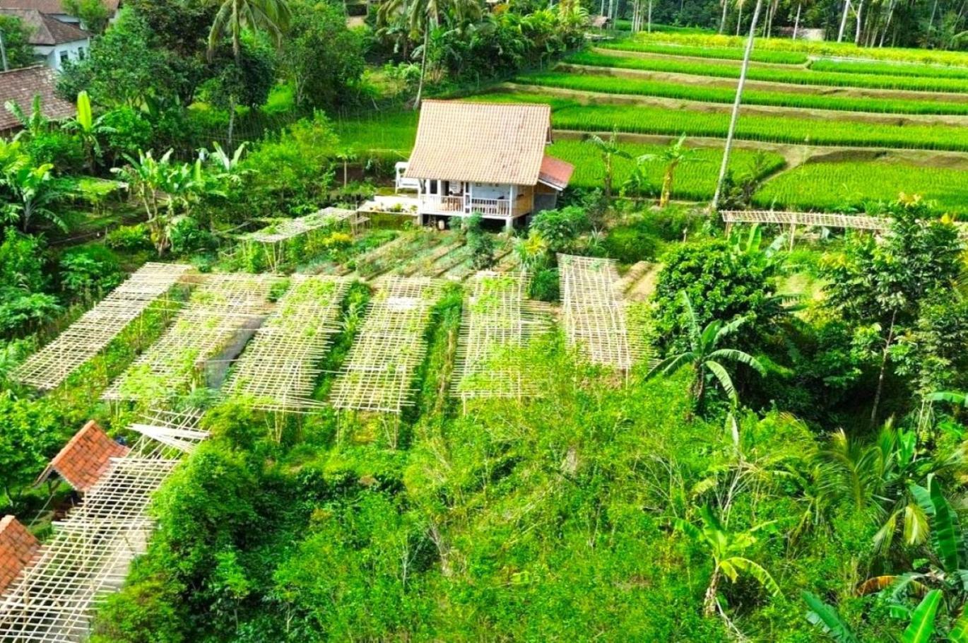 Pondok Is Oke Villa Scenic View Banyuwangi  Exterior photo