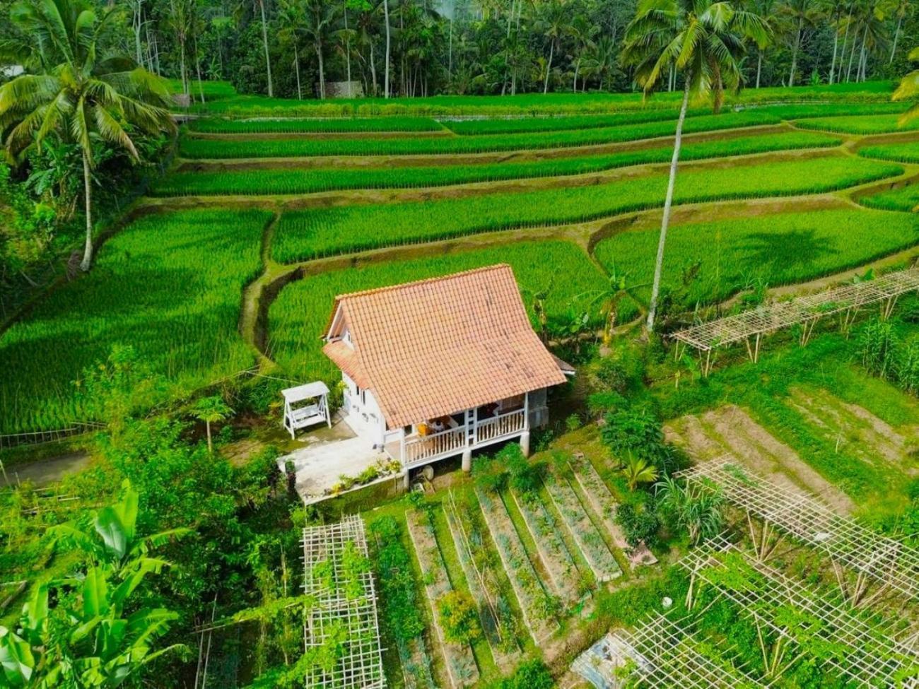 Pondok Is Oke Villa Scenic View Banyuwangi  Exterior photo