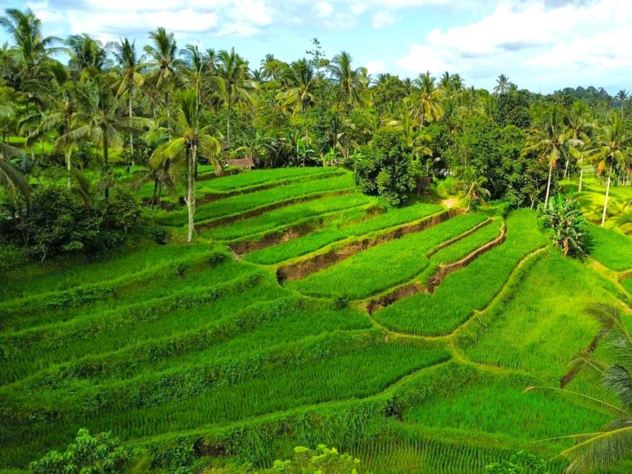 Pondok Is Oke Villa Scenic View Banyuwangi  Exterior photo