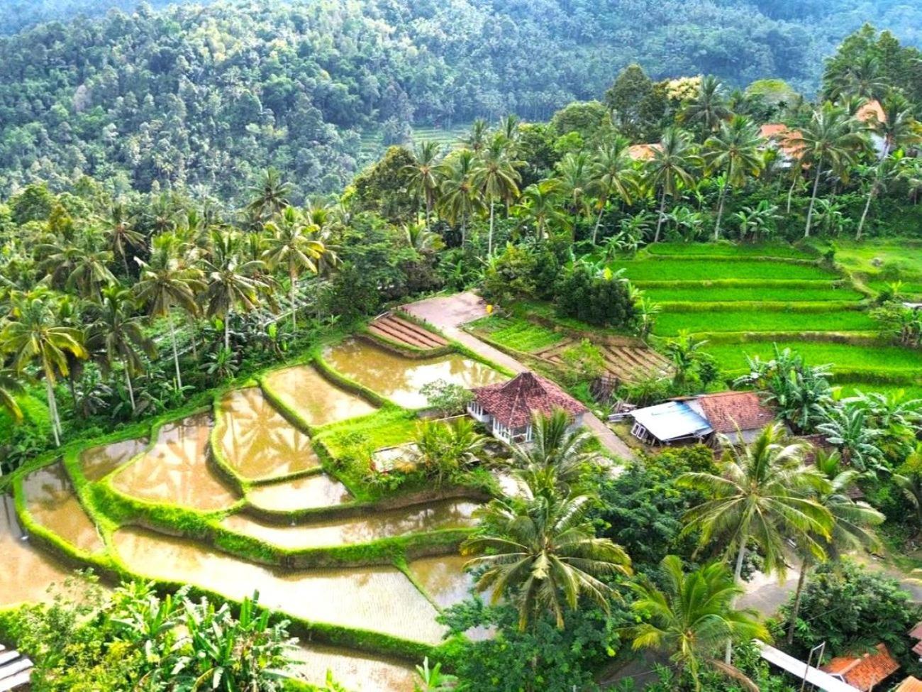 Pondok Is Oke Villa Scenic View Banyuwangi  Exterior photo