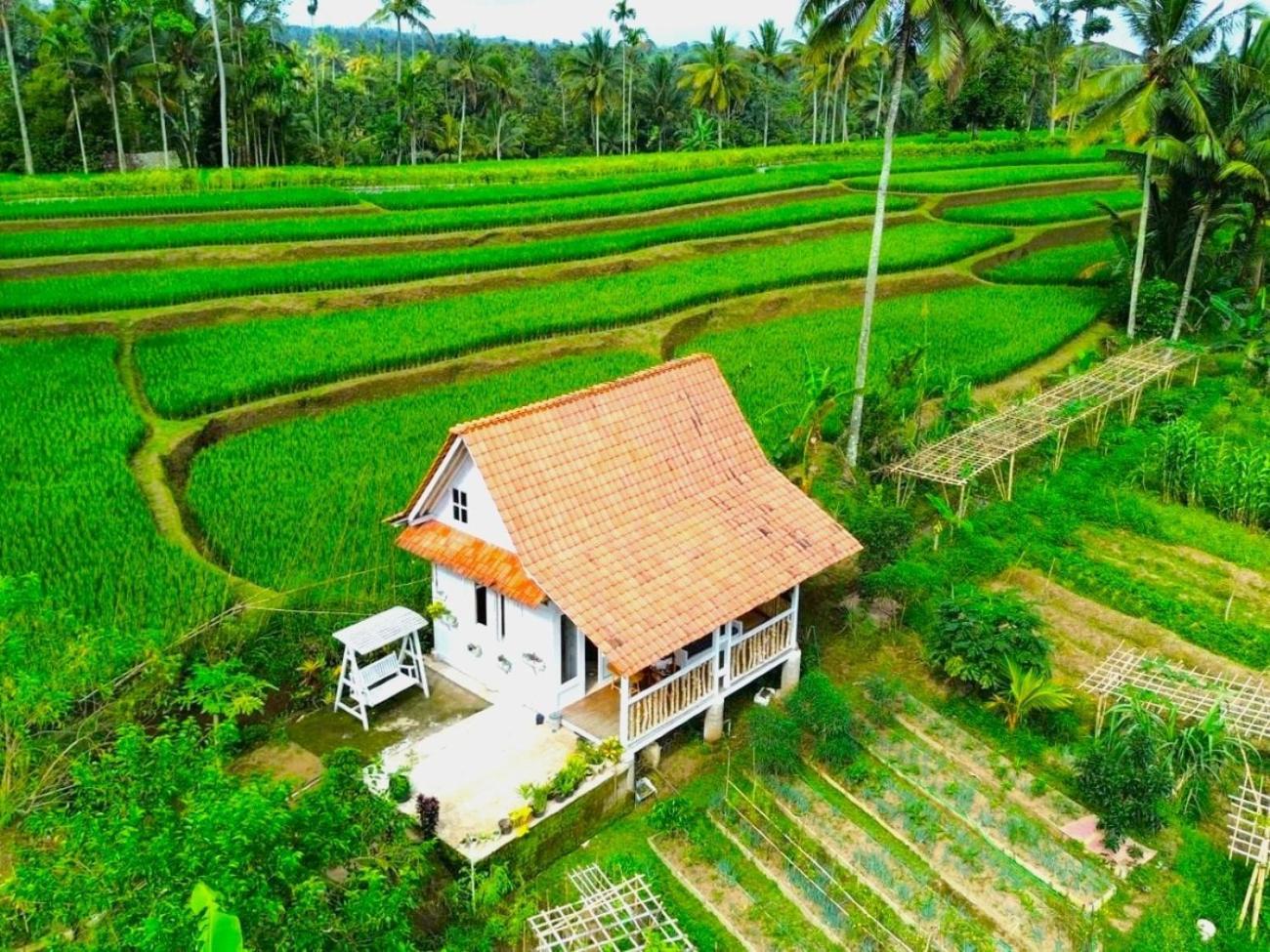 Pondok Is Oke Villa Scenic View Banyuwangi  Exterior photo